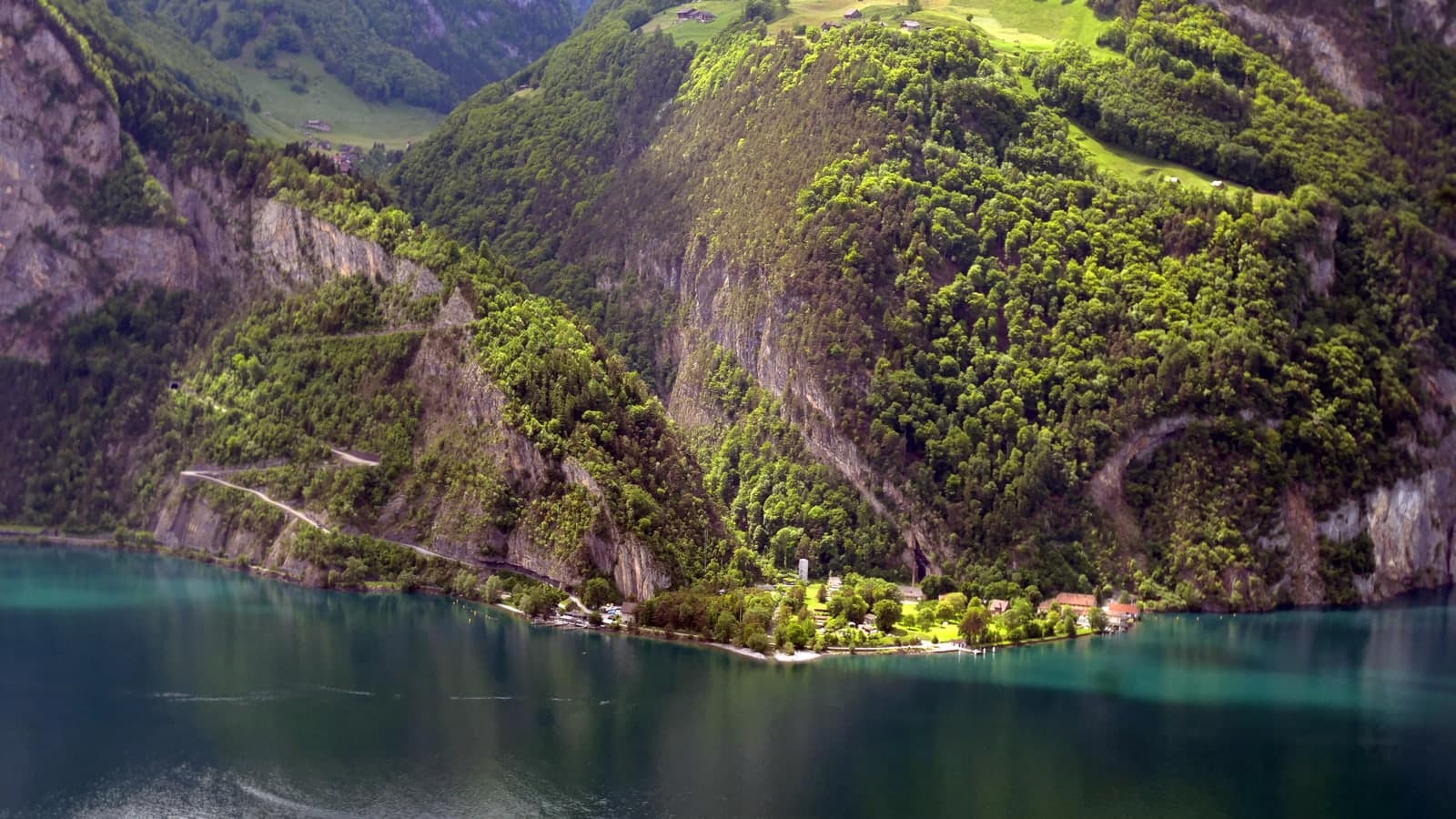 Luftaufnahme von Flüelen am Vierwaldstättersee mit grünen Hängen und Ufer