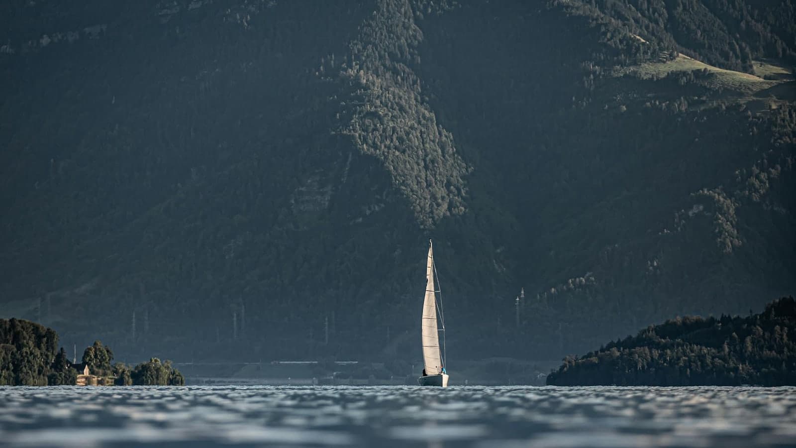 Weisses Segelboot auf dem Zugersee vor dunkler Bergkulisse