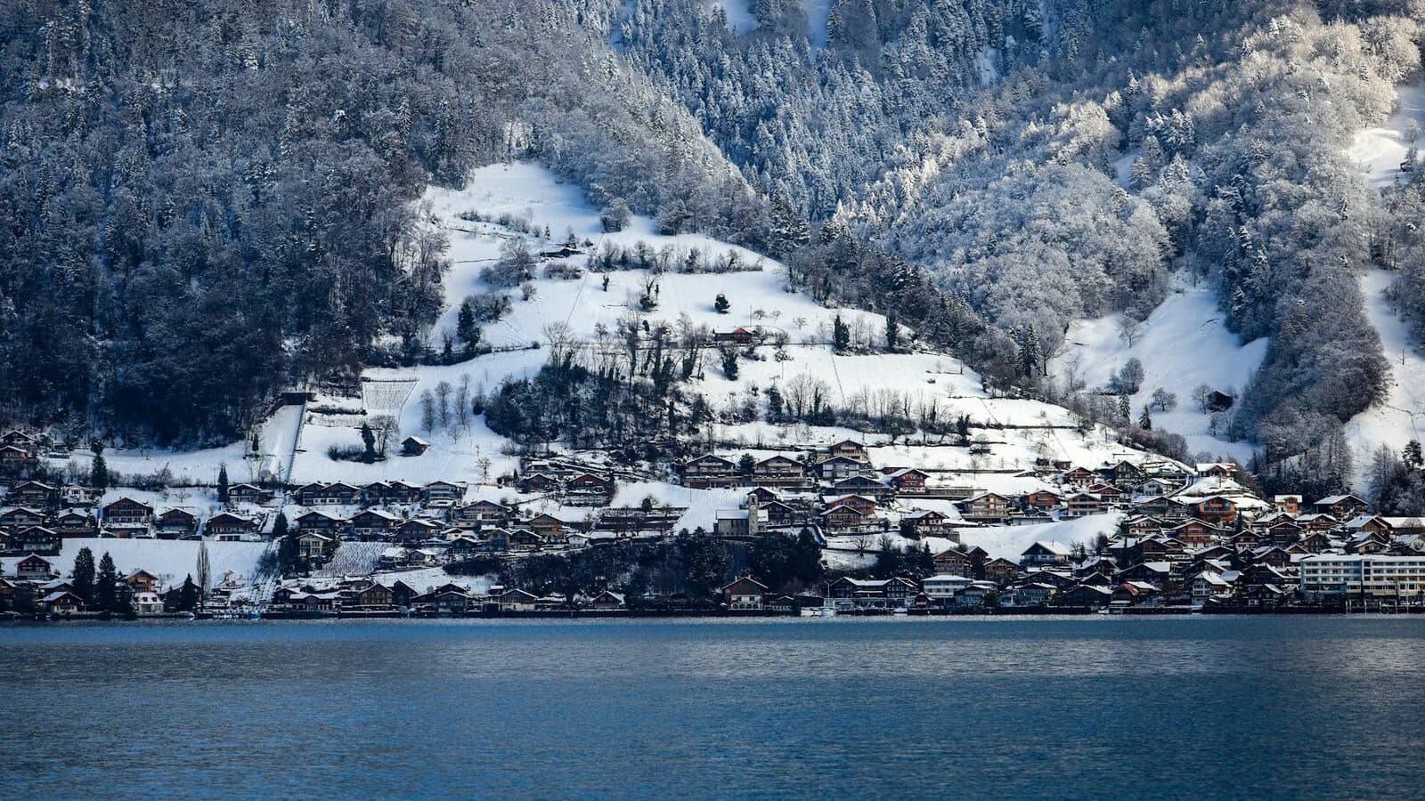 Paesaggio urbano o alpino svizzero come immagine di copertina